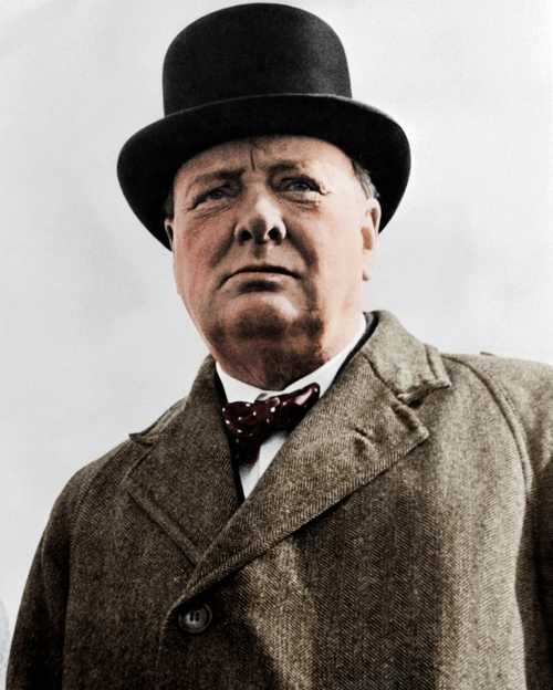 Churchill. #Pink
