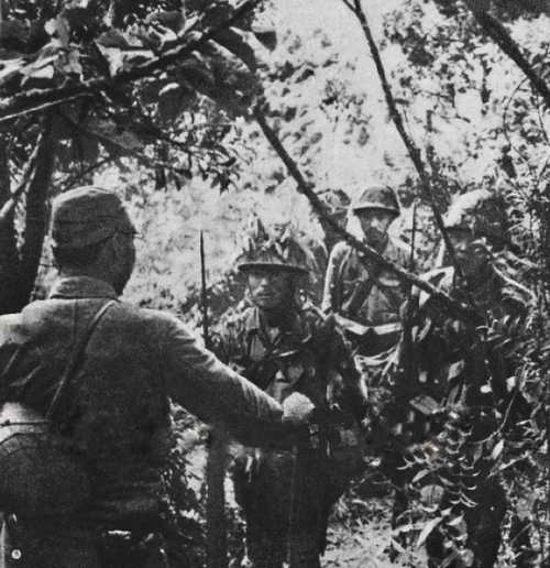 The "Courageous" Division in Guadalcanal 