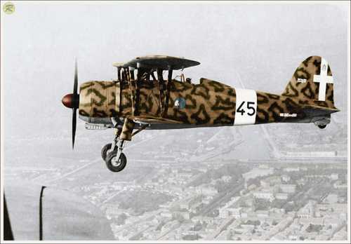 Fiat CR.42AS over Ravenna (col.)