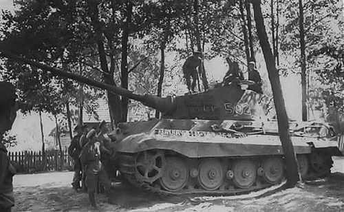 Captured Tiger II
