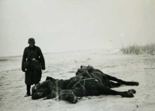 Death on the Steppes 