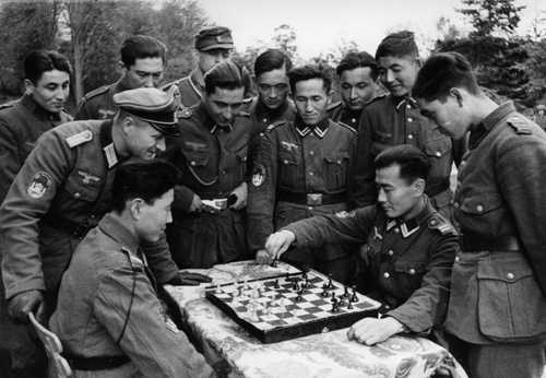 Foreign Volunteers Playing Chess
