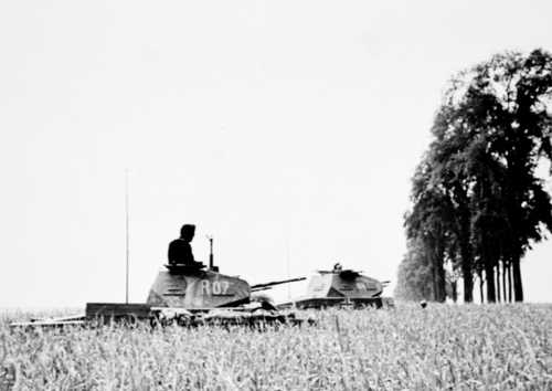 Panzer II in Field