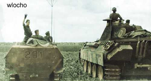 Sd.Kfz. 251D &amp; Panther