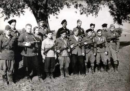 Young partisans