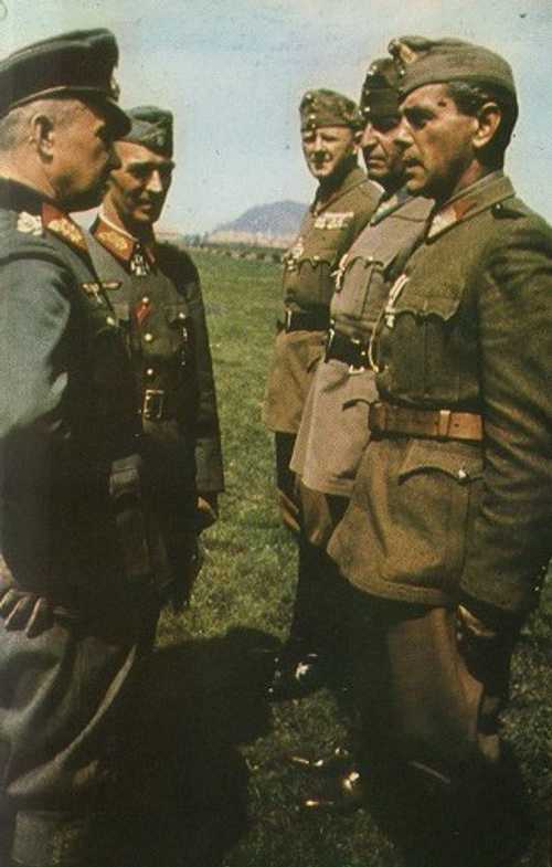 GFM Model and Hungarian Supreme Command