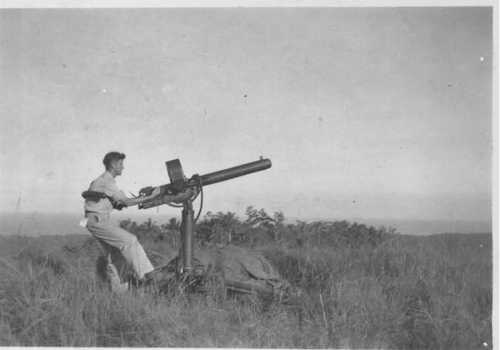 War in Pacific- Anti-Aircraft Artillery