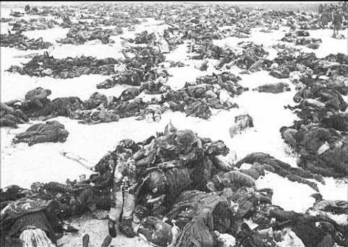 Stalingrad Hungarian Losses
