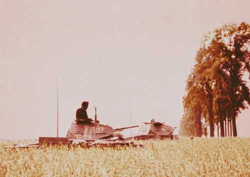 Panzer II_field