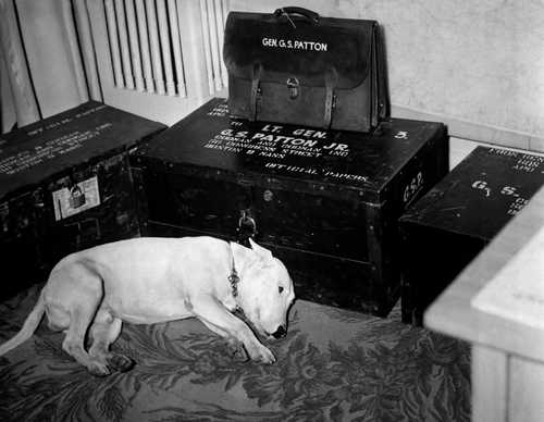 Patton's Dog Mourns Loss