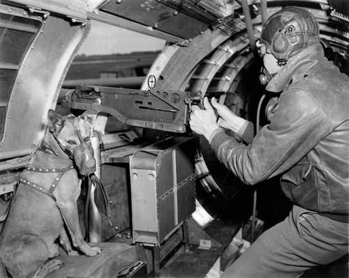 B-17 Flying Fortress gunner