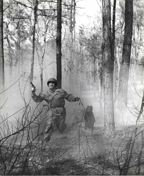 War Dog training Camp Lejeune 1943