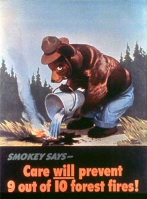 Prevent forest fires !