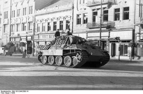 Panther in Debrecen/Hungary
