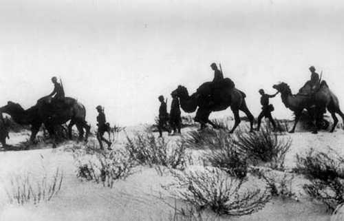 Romanian troops using camels