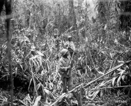 The Old Bamboo - Bougainville, 1944.