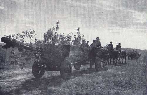 Polish Artillery goes into battle on Russian Front