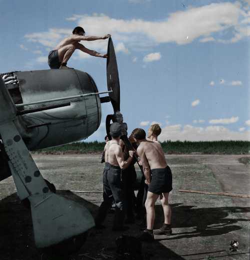 FW-190 maintenance