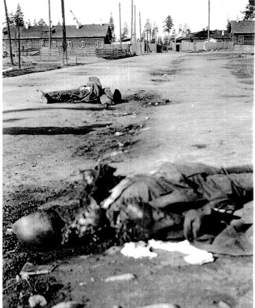 Dead Soviet soldiers