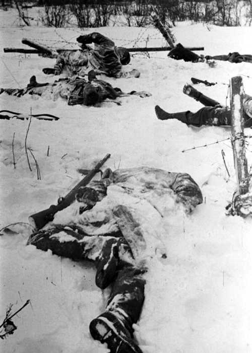 Bodies on the snow