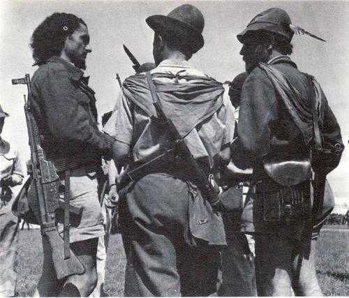 Partisans with Stg 44