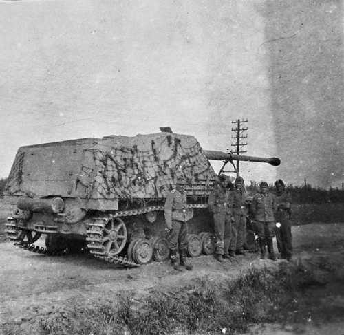 Nashorn from the side, rear