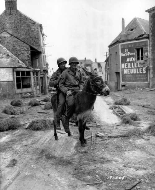 Soldiers on Donkey