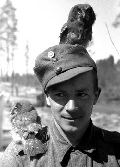 Finnish soldier with two owls