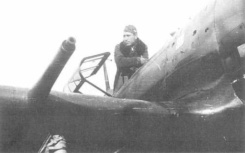 The weapons of the “Veltro”
