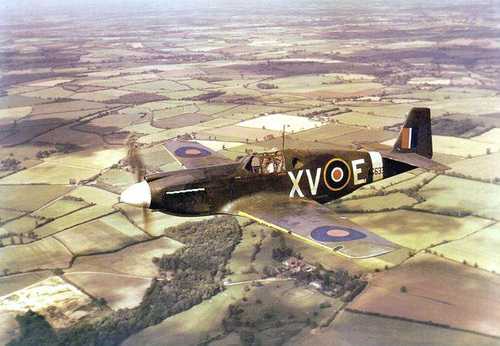 p_51a_raf