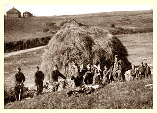 Hungarians Harvest Russian Hay, 1942