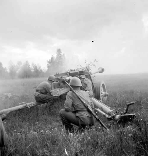 PaK40