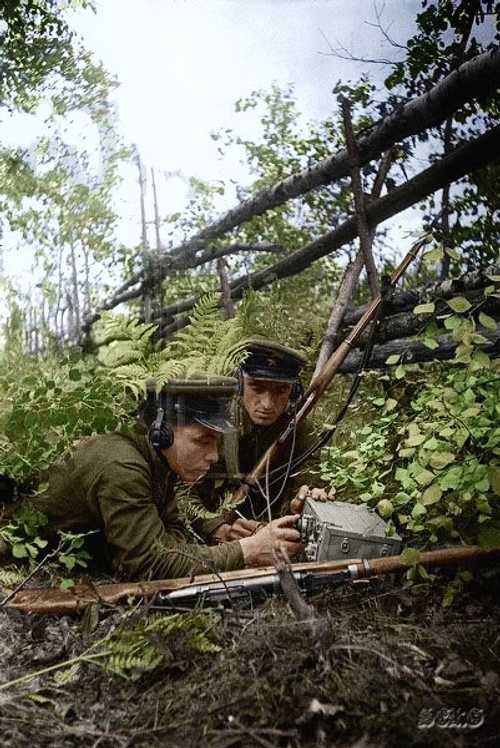 Signallers