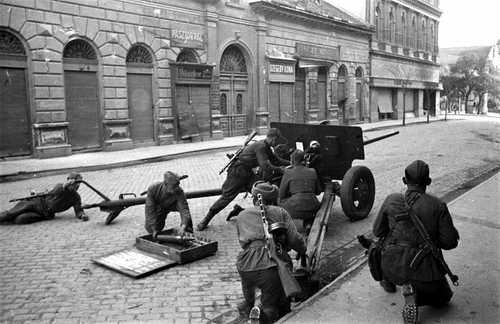 Anti-tank cannon on the wide open