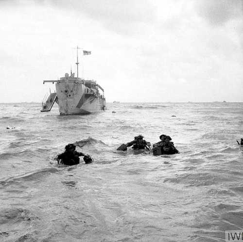 Wading ashore