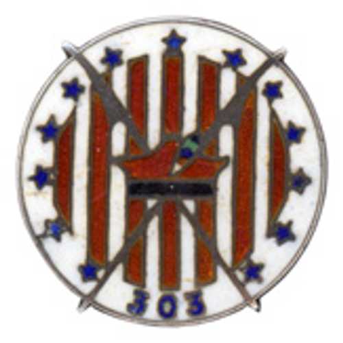 Division 303 'Tadeusz Kościuszko' (Polish)