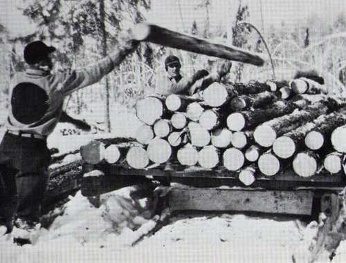German POW's working in the woods