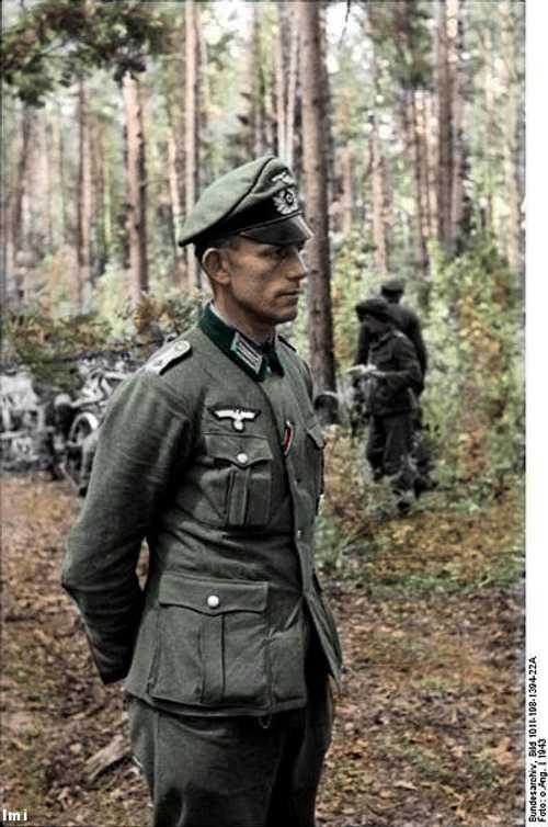 Russian Woods 3