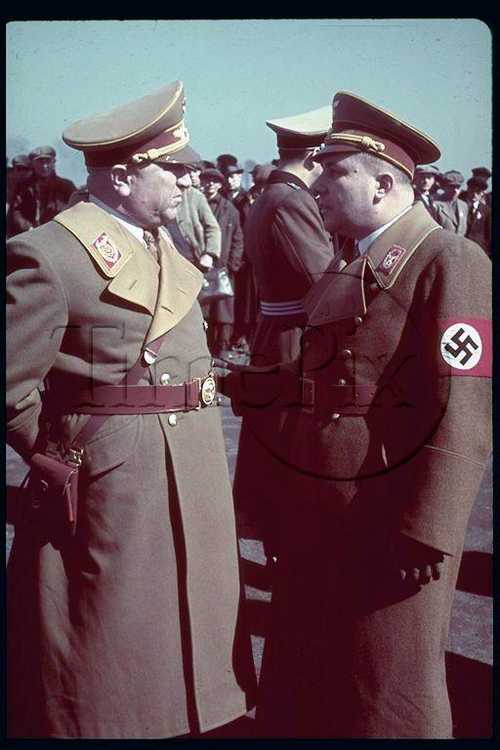Ley and Bormann