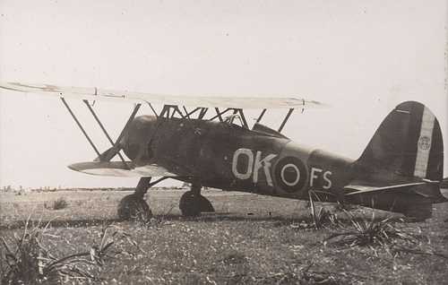 An Italian fighter “enlisted” by the RAAF