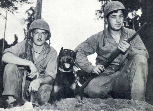 Marines in Bougainville