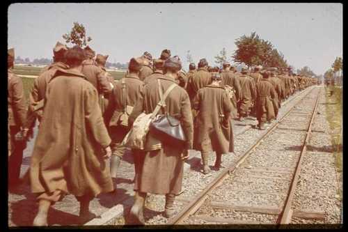 Belgian soldiers march