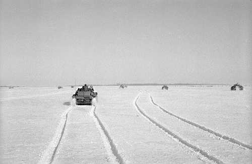 Endless snowfields