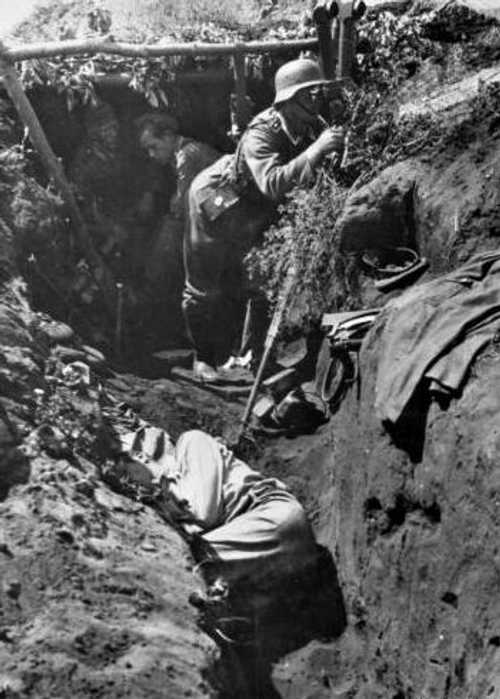 Near Leningrad 1941-42