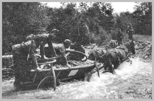  Magyar Horse and Wagon Transport