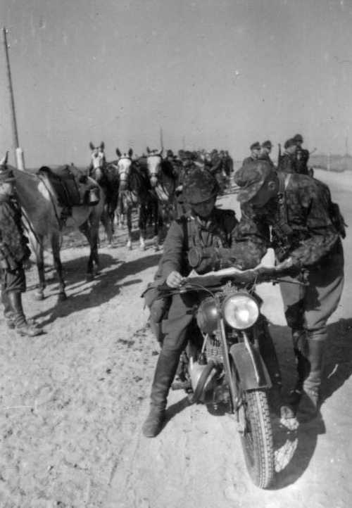 Waffen-SS Cavalry