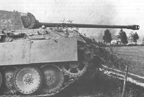 Panther