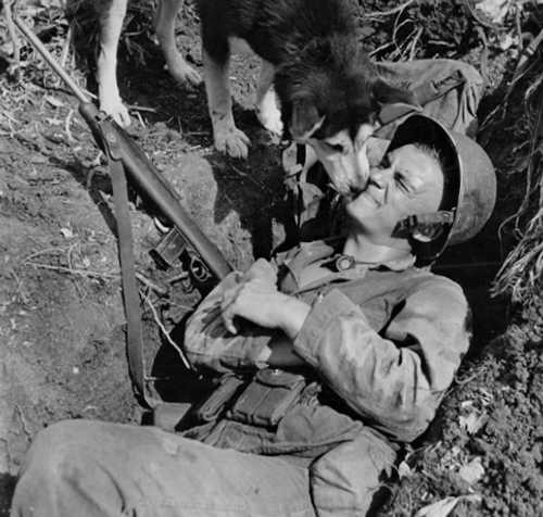 K9 friend
