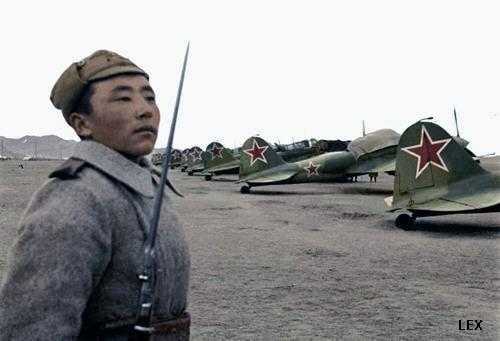 IL-2
