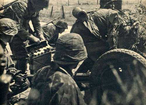 SS-VT troops (2)